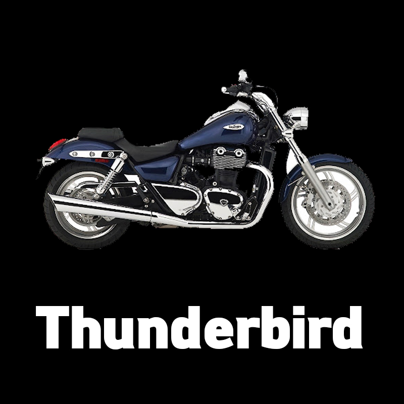 -Thunderbird-