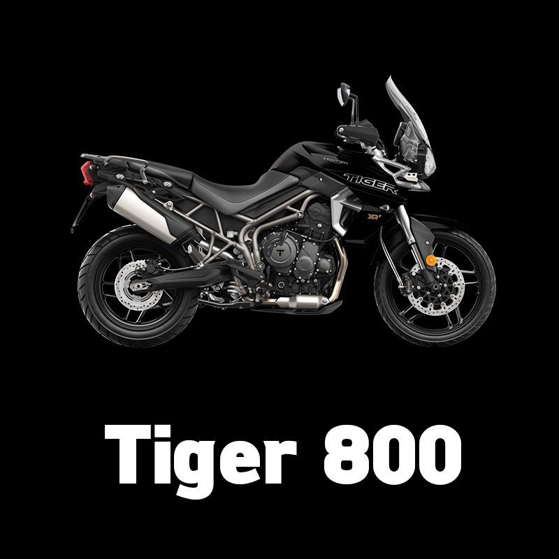 -Tiger 800-